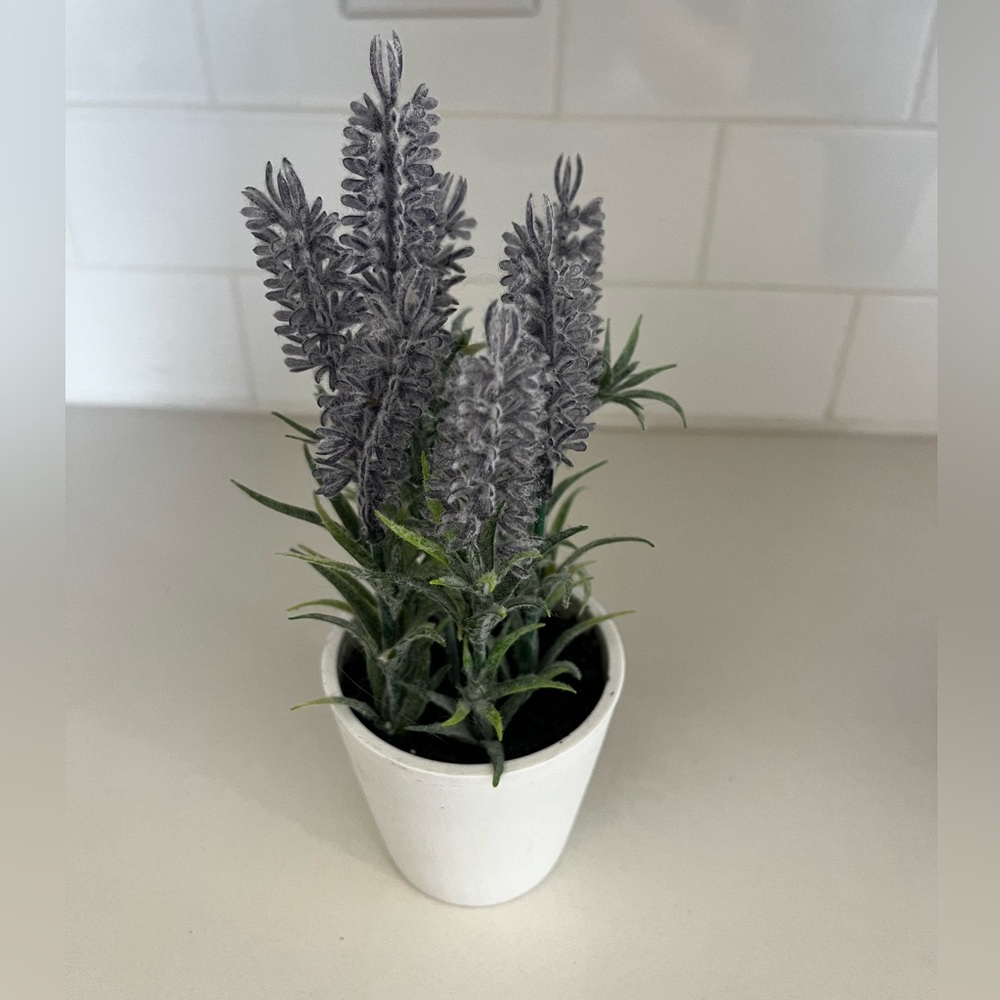 Fake plant